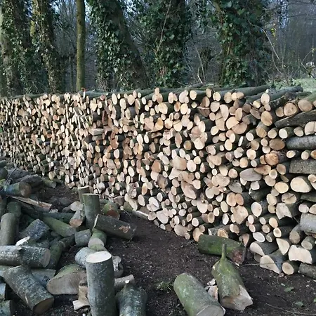 A L'orée Du Bois 3* Fosseux