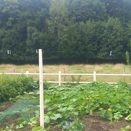 Couette-café A L'orée Du Bois 3*